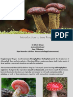 Introduction To True Fungi