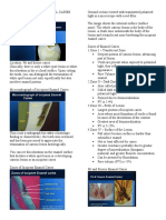 Histopathology of Dental Caries