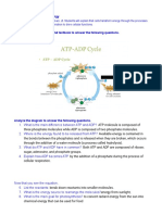 Biology DA 3 Study Guide