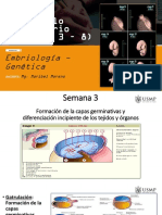 Sesión Desarrollo Embrionario