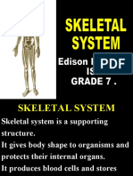 20201012-20201019-1149-Skeletal System