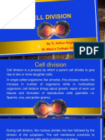 Cell Division