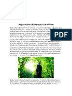 Regulación Del Derecho Ambiental