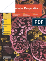 ML Biology Chapter 10