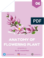 Anatomy of Flowering Plant