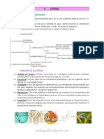 2 Lípidos Proteínas Enzimas