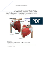 Sindrome de Manguito Rotador