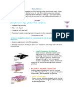 Epithelial Tissue