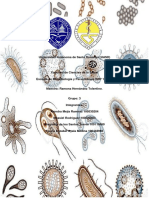 Conceptos Mas Utilizados en Parasitolgia.