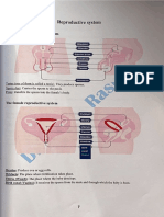 Reproduction System