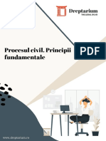 Procesul Civil. Principii Fundamentale