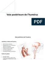 Voie Postérieure de L'humérus