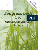 Salcombe Seagrass Beds Leaflet