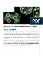 The Classification of Algae - Comparing Three Schools of Thought - Plantlet