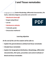 4.3. Blood and Tissue Nematodes