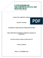 Principios Que Rigen El Derecho Del Trabajo de Honduras Original