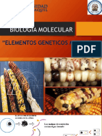 1er. Parcial-Elementos Geneticos - Evaluacion