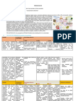 Proyecto de Los Derechos 2022