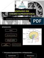 Seminario Neuro Cerebro Supratentorial