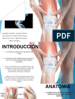 Reemplazo Total de Rodilla y Platillos Tibiales