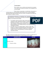 Lesiones Histopatologicas Del Esmalte