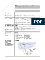 Central Dogma Lesson Plan