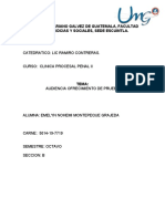 Audiencia Ofrecimiento de Prueba Emy