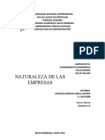 Naturaleza de Las Empresas