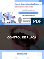 Control de Placa Dentobacteriana y Técnicas de Cepillado - Casanova Zavala Fatima