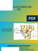 Articulaciones Del Pie Final Yusmary