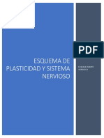 Esquema de Plasticidad y Sistema Nervioso Evalilia Duarte Verduzco