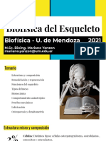 Biofísica Del Esqueleto