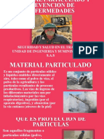 Riesgo Material Particulado y Prevencion de Enfermedades