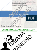 Aula 4 - Angio e Angiospermas Basais OK