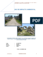 Iii. C. Estudio de Impacto Ambiental