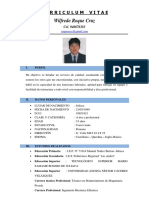 Curriculum Vitae Documentado