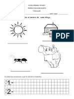 Evaluacoion Diagnostica Agosto 2019