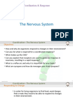 The Nervous System