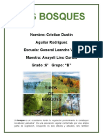 Los Bosques