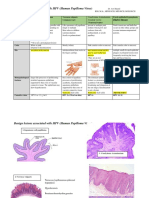 HPV Benign Lesions Summary