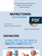 NEFRECTOMÍA