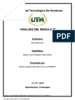 AnalisisModulo7 PDF