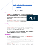 Morfofisiología, Adaptación y Agresión Celular.