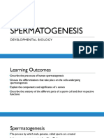 Spermatogenesis PPT