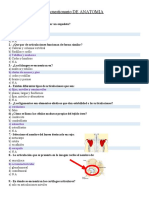 1º Cuestionario ANTO (I UNIDAD TRABAJO HECHO