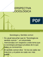 Perspectiva Sociológica