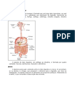 O SISTEMA DIGESTORIO - Alexandre Paschoal PDF