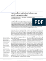 Open Chromatin in Pluripotency and Reprogramming