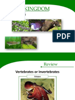 Vertebrates