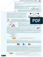 Guía de Alimentación y Salud UNED Alimentación en La Diabetes Manual de Consulta Producción de Insulina